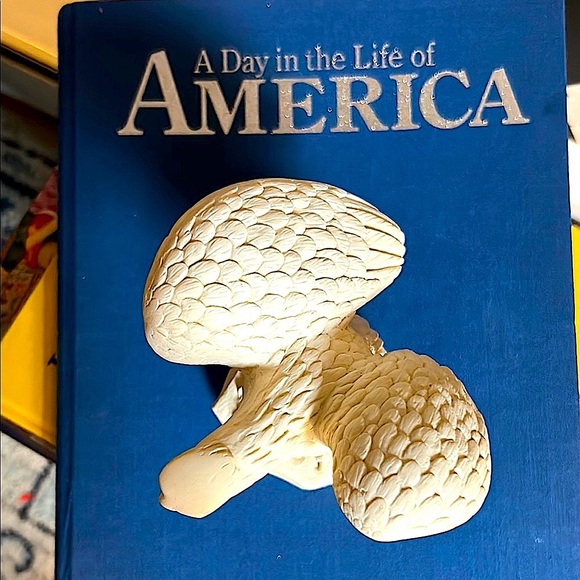 Vintage Bald Eagle Sculpture – Hand-Carved, Patriotic Americana Elegant Decor - Picture 2 of 15